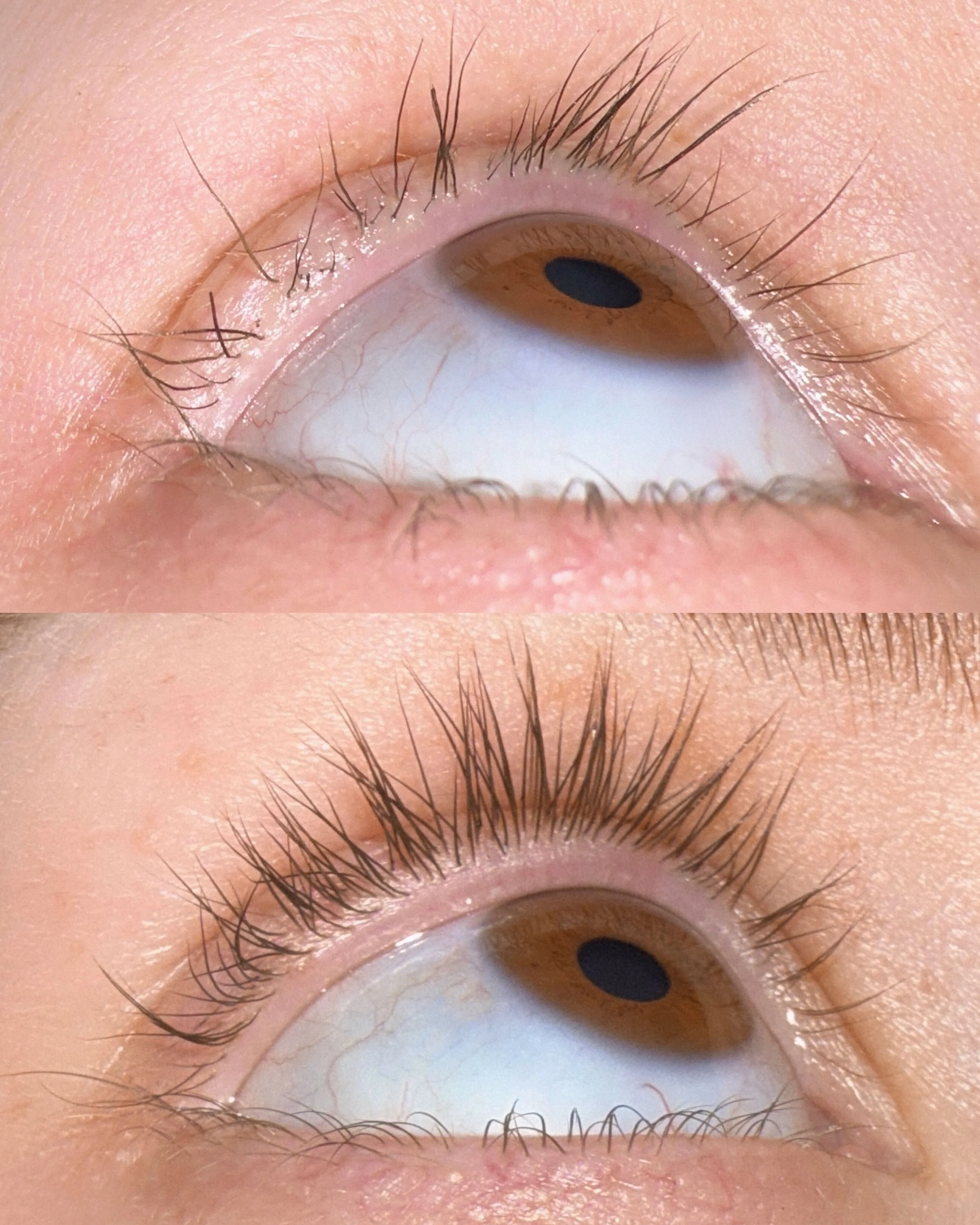 Lash Growth Serum - Image 3