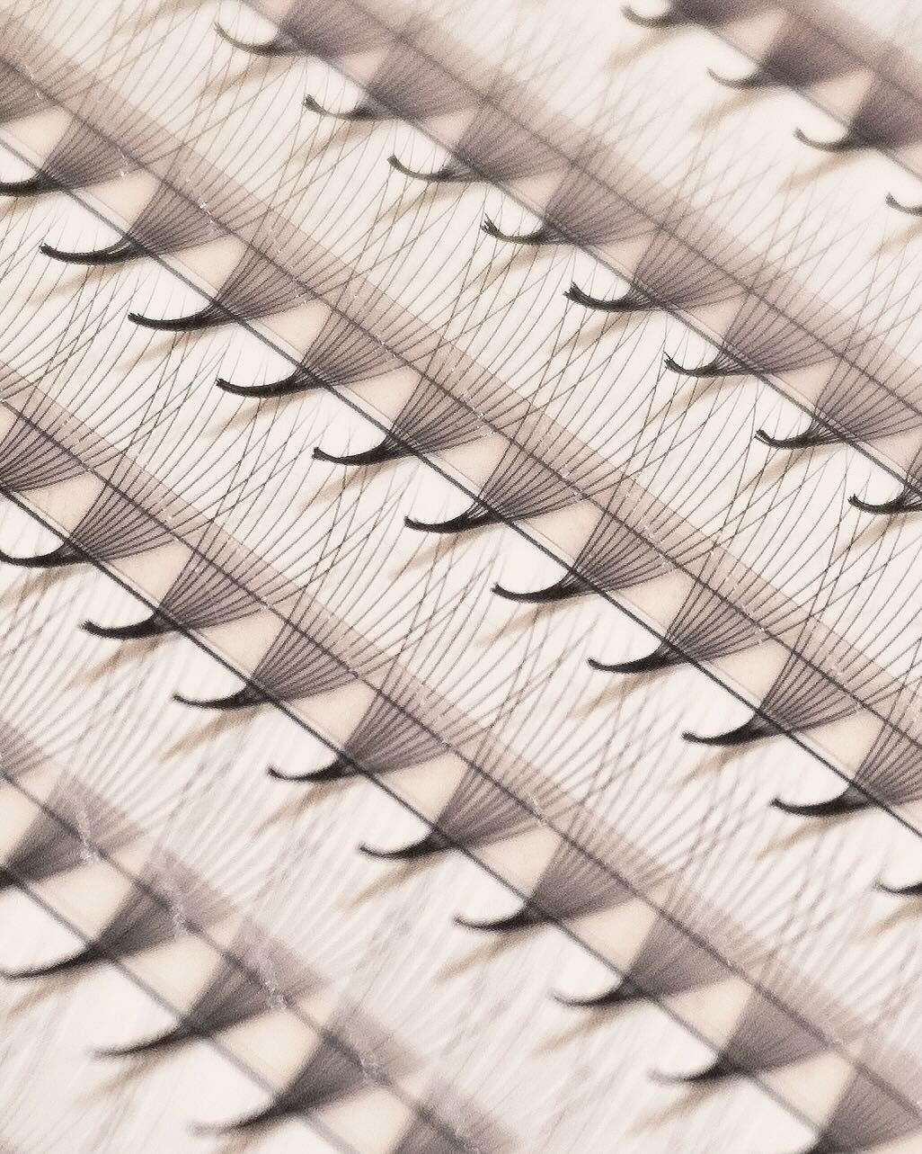 Loose Base Promade 0.03mm Lash Extensions | Light Heart Lash - Image 4